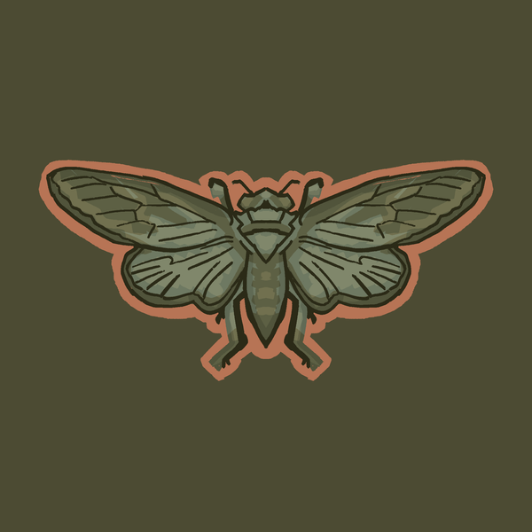 Cicada